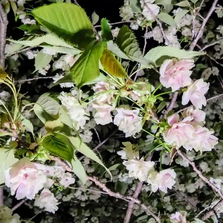 上地八幡宮(愛知県)