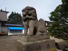 女満別神社の狛犬