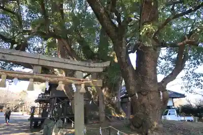 藤白神社(和歌山県)