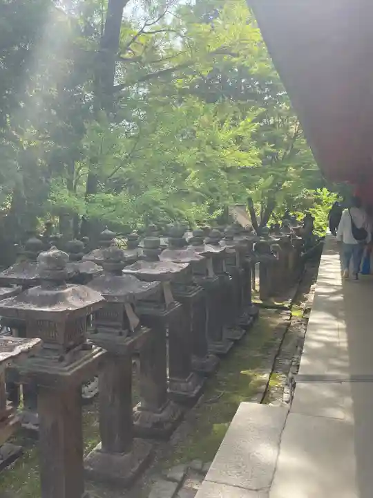 春日大社(奈良県)