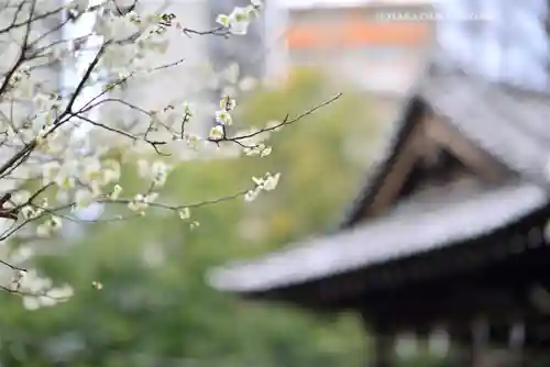 荏原神社(東京都)