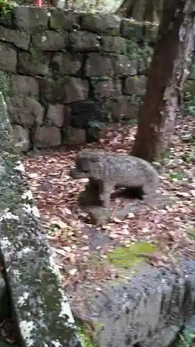 青龍神社の狛犬