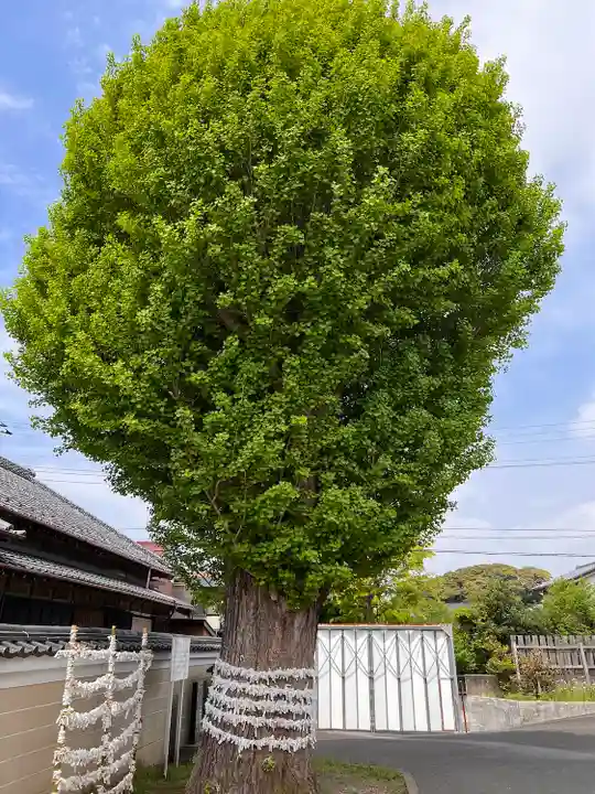 子守神社(千葉県)