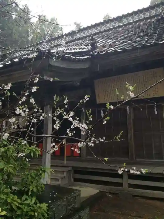 盛岡天満宮の自然