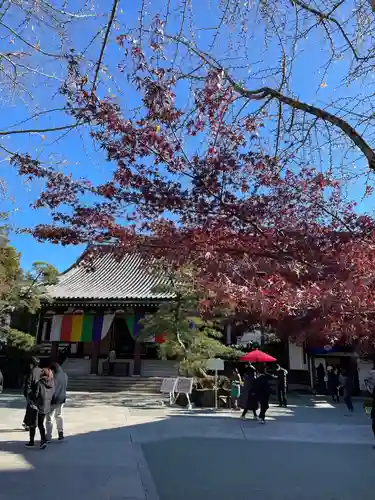 心行寺(東京都)