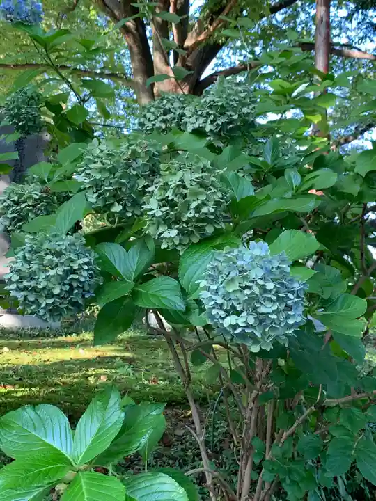 花巻神社の自然