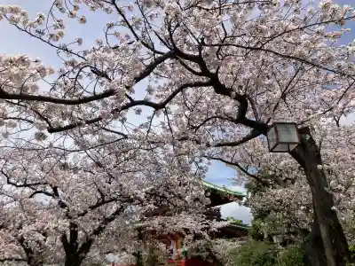 孝道山の{uncategorized: "未分類", other: "その他", undefined: "問題あり", building: "その他建物", grave: "お墓", sacred_gate: "鳥居", guardian: "狛犬", statue: "像", buddha: "仏像", history: "歴史", nature: "自然", garden: "庭園", animal: "動物", pagoda: "塔", temizu: "手水舎", mountain_gate: "山門・神門", sanctuary: "本殿・本堂", subordinate: "末社・摂社", art: "芸術", scenery: "景色", jizo: "地蔵", ema: "絵馬", goshuin: "御朱印", omikuji: "おみくじ", items: "授与品その他", amulet: "お守り", goshuincho: "御朱印帳", eats: "食事", festival: "お祭り", votive_dance: "神楽", shichigosan: "七五三参", wedding: "結婚式", experience: "体験その他", initially: "初詣", around: "周辺", anti_infection: "感染症対策"}
