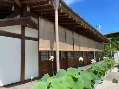 長徳寺(兵庫県)