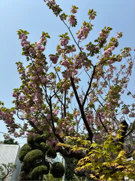 蟠龍寺(東京都)