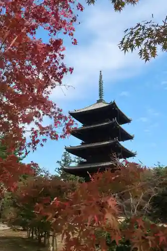 仁和寺の塔