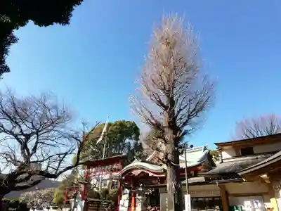 居木神社のその他建物