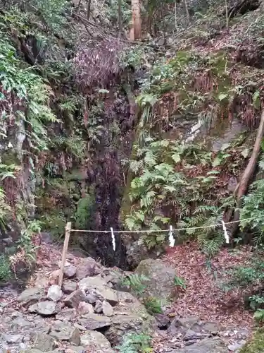 多度大社の自然