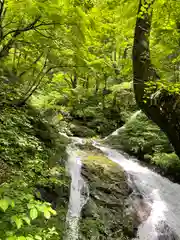 白山神社（長滝神社・白山長瀧神社・長滝白山神社）の周辺