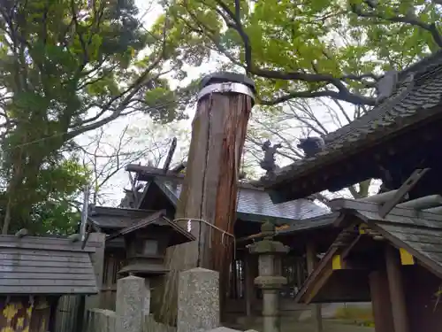 片山神社の自然