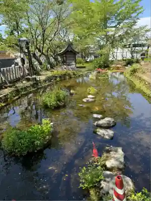 阿蘇神社(熊本県)
