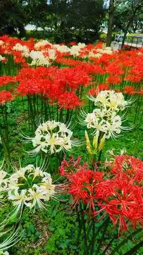 七百餘所神社 の周辺