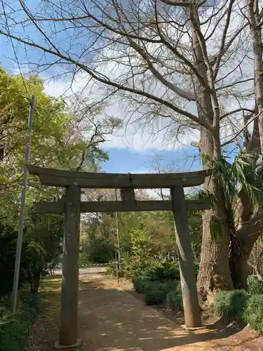 日枝神社の鳥居