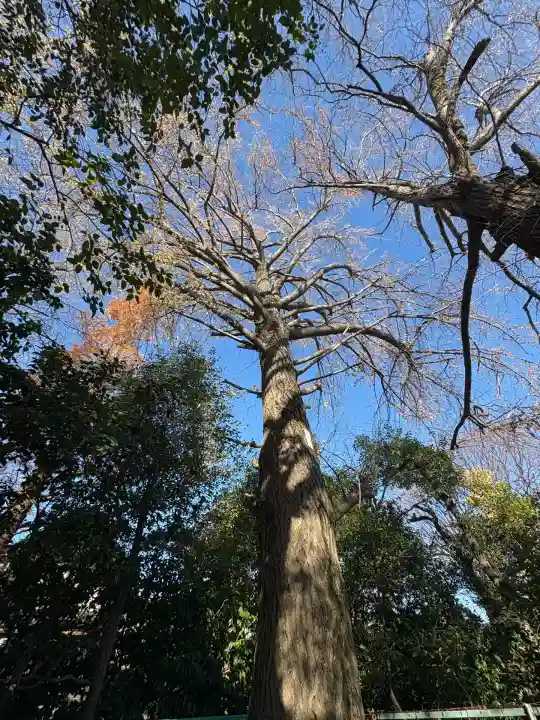稲荷神社(東京都)