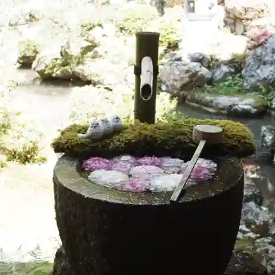 柳谷観音　楊谷寺(京都府)
