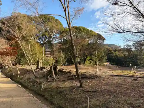 醍醐寺(京都府)