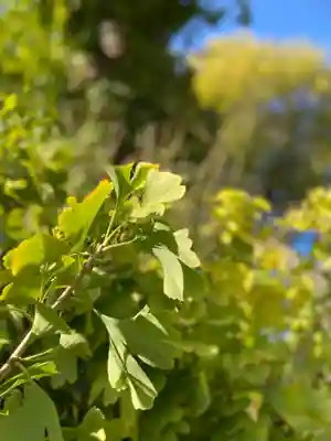 宇賀神社(京都府)