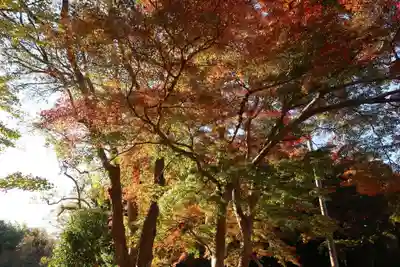 葭原観音堂(静岡県)