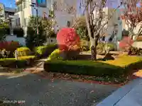 圓龍寺(東京都)