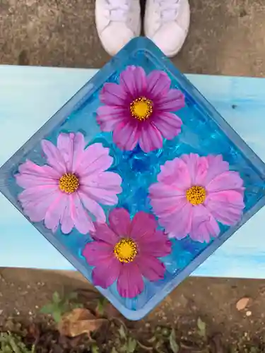 般若寺 ❁﻿コスモス寺❁(奈良県)