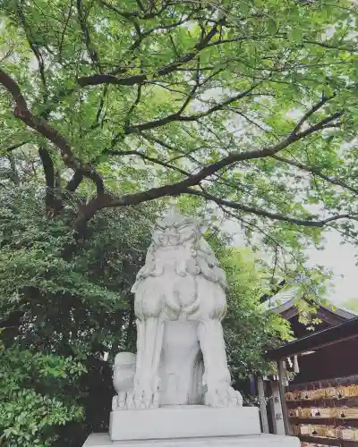 寒川神社(神奈川県)