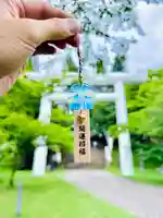 土津神社|こどもと出世の神さま(福島県)