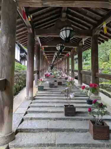 長谷寺(奈良県)