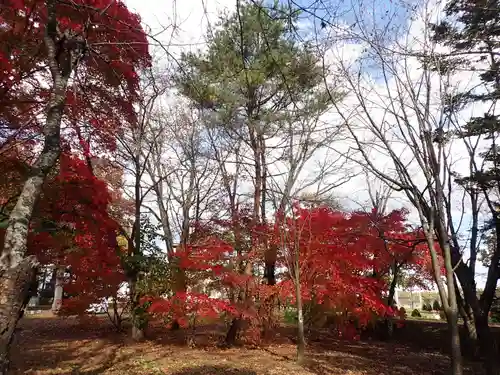 大樹神社の自然