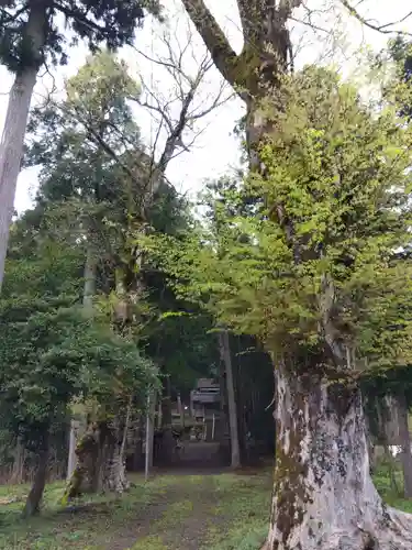 水間神社(福井県)