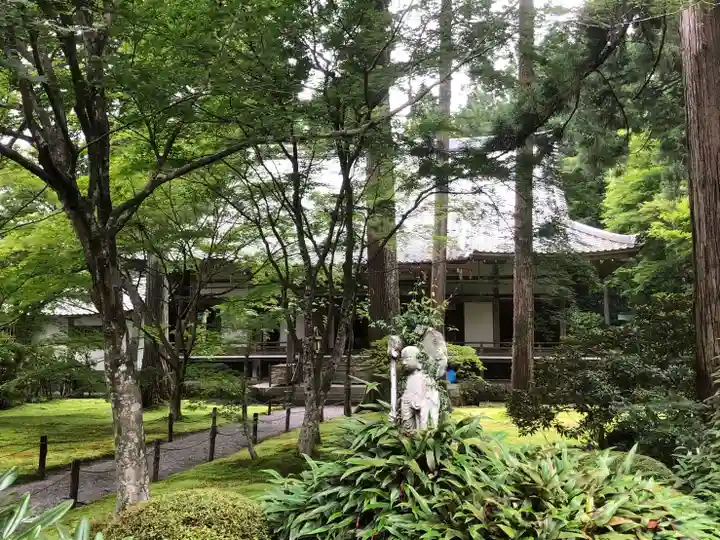 三千院門跡の自然