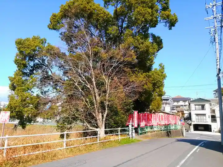 祠(親池地蔵菩薩)の自然