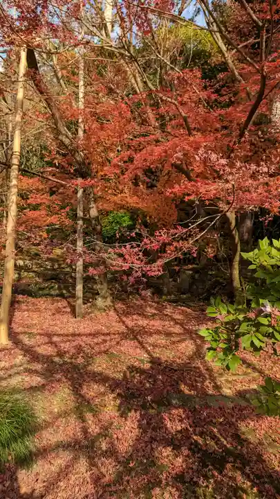 龍安寺(京都府)