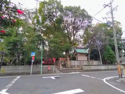 綿神社の自然