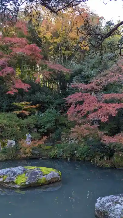 青蓮院門跡(京都府)