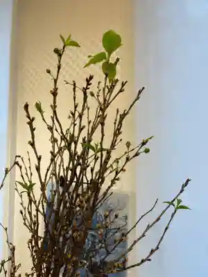 メノコト神社(京都府)