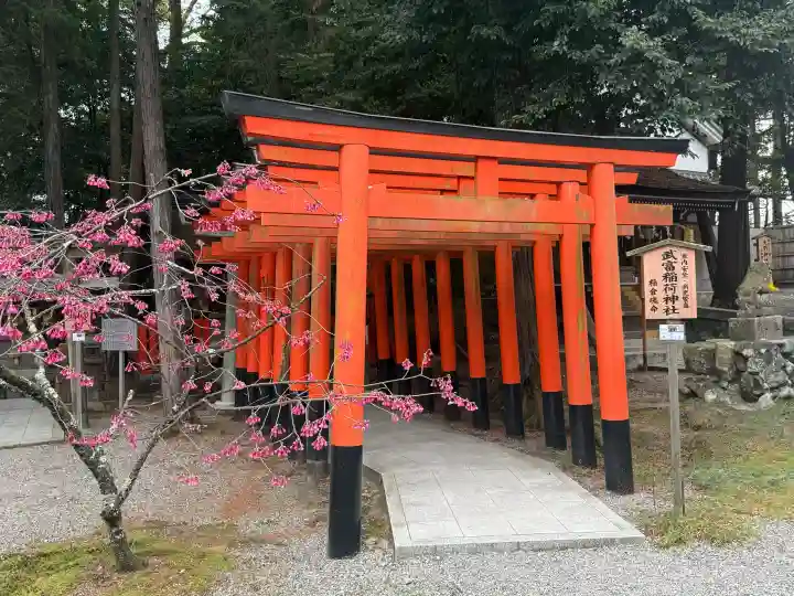 建部大社の{uncategorized: "未分類", other: "その他", undefined: "問題あり", building: "その他建物", grave: "お墓", sacred_gate: "鳥居", guardian: "狛犬", statue: "像", buddha: "仏像", history: "歴史", nature: "自然", garden: "庭園", animal: "動物", pagoda: "塔", temizu: "手水舎", mountain_gate: "山門・神門", sanctuary: "本殿・本堂", subordinate: "末社・摂社", art: "芸術", scenery: "景色", jizo: "地蔵", ema: "絵馬", goshuin: "御朱印", omikuji: "おみくじ", items: "授与品その他", amulet: "お守り", goshuincho: "御朱印帳", eats: "食事", festival: "お祭り", votive_dance: "神楽", shichigosan: "七五三参", wedding: "結婚式", experience: "体験その他", initially: "初詣", around: "周辺", anti_infection: "感染症対策"}