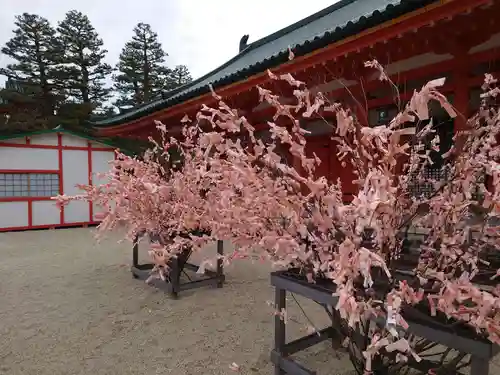 平安神宮のおみくじ