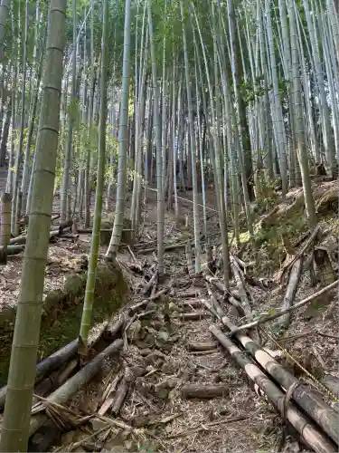 鳴滝奥の院(徳島県)