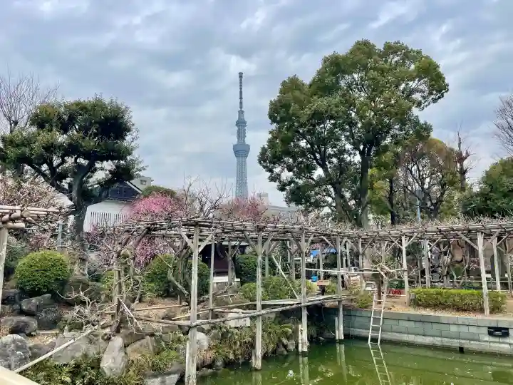 亀戸天神社の{uncategorized: "未分類", other: "その他", undefined: "問題あり", building: "その他建物", grave: "お墓", sacred_gate: "鳥居", guardian: "狛犬", statue: "像", buddha: "仏像", history: "歴史", nature: "自然", garden: "庭園", animal: "動物", pagoda: "塔", temizu: "手水舎", mountain_gate: "山門・神門", sanctuary: "本殿・本堂", subordinate: "末社・摂社", art: "芸術", scenery: "景色", jizo: "地蔵", ema: "絵馬", goshuin: "御朱印", omikuji: "おみくじ", items: "授与品その他", amulet: "お守り", goshuincho: "御朱印帳", eats: "食事", festival: "お祭り", votive_dance: "神楽", shichigosan: "七五三参", wedding: "結婚式", experience: "体験その他", initially: "初詣", around: "周辺", anti_infection: "感染症対策"}