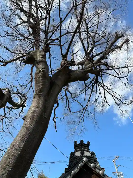 御劔神社(大阪府)