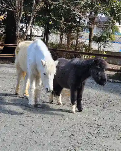 丹生川上神社（下社）(奈良県)