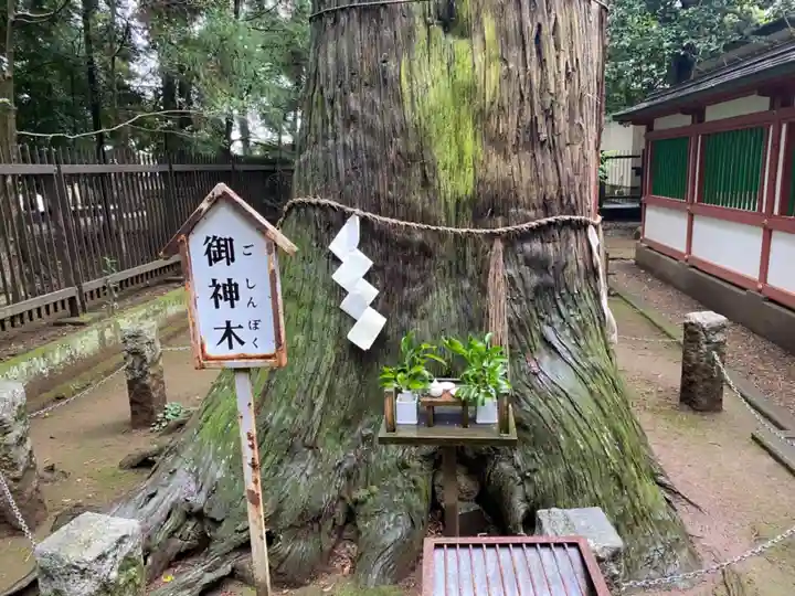一言主神社の自然