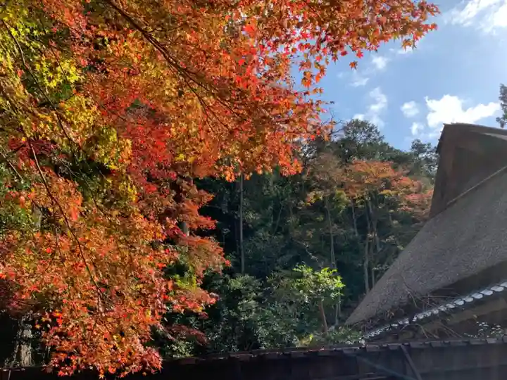 胡宮神社(敏満寺史跡)の自然