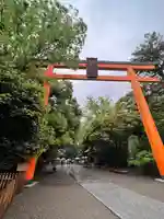 川越氷川神社(埼玉県)