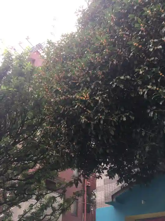 櫻田神社(東京都)