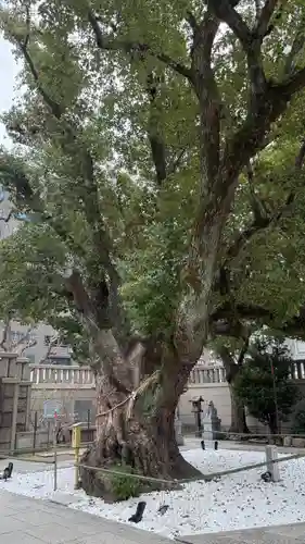 難波神社(大阪府)